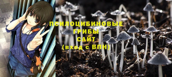дурь Абинск