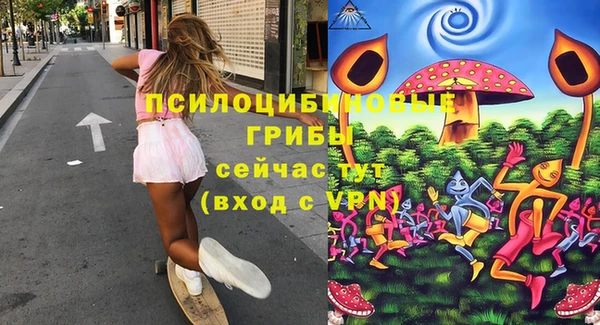 ешки Абаза
